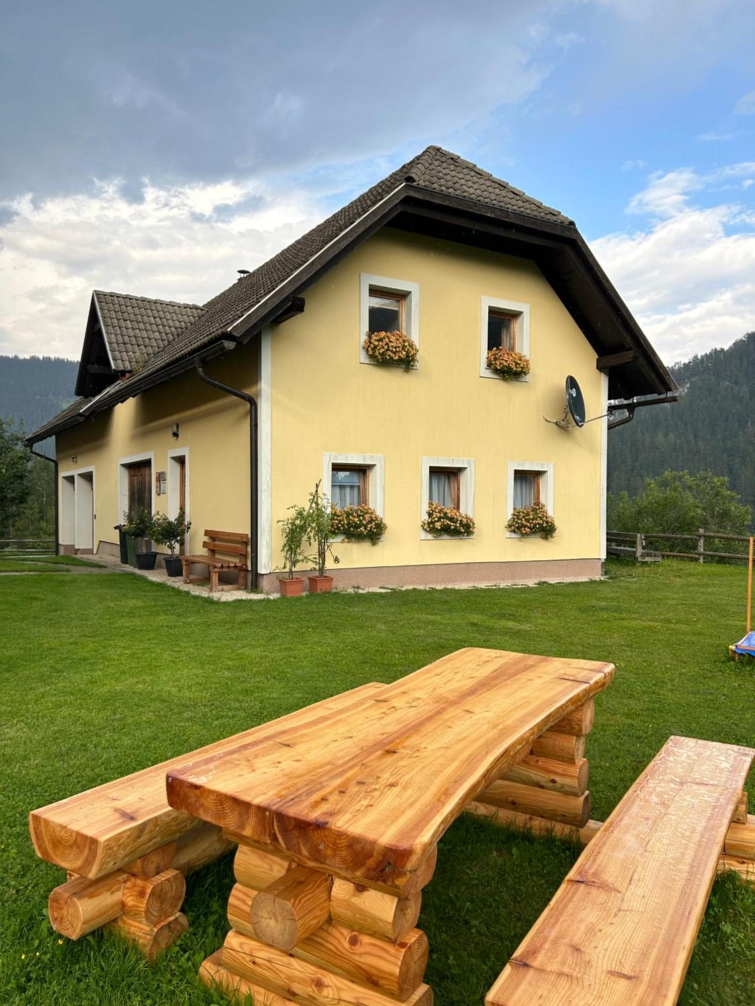 Tourist Farm Gradisnik Apartment Solcava Ngoại thất bức ảnh