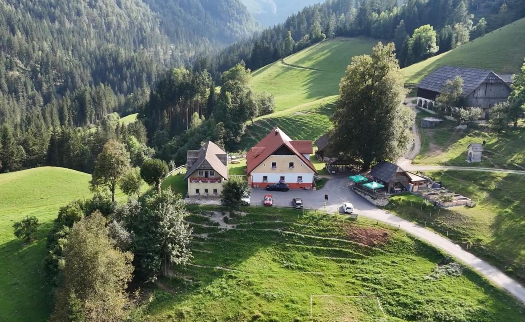 Tourist Farm Gradisnik Apartment Solcava Ngoại thất bức ảnh