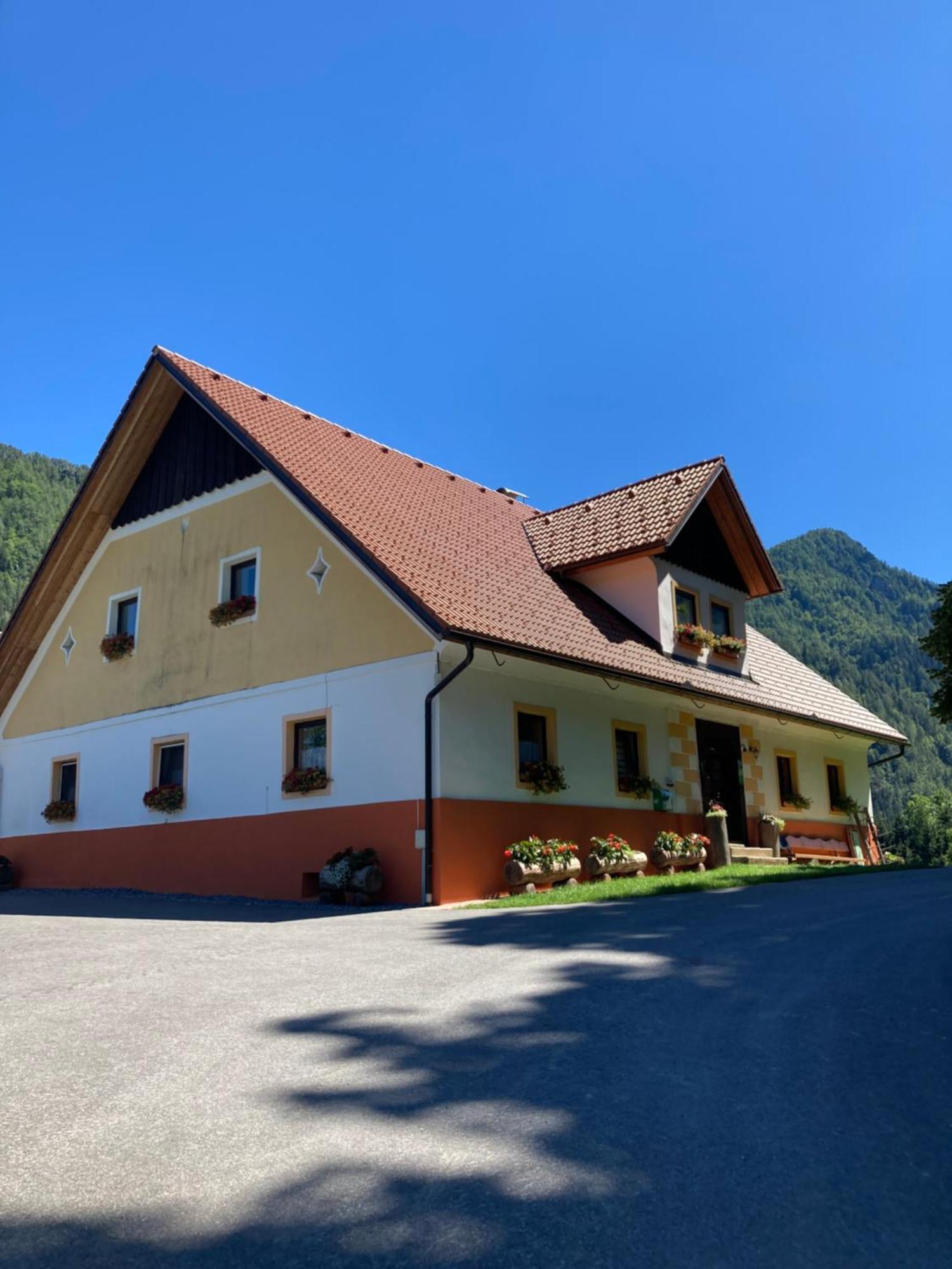 Tourist Farm Gradisnik Apartment Solcava Ngoại thất bức ảnh