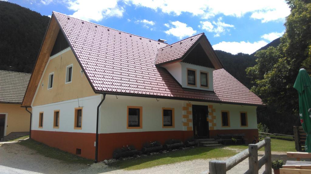 Tourist Farm Gradisnik Apartment Solcava Ngoại thất bức ảnh