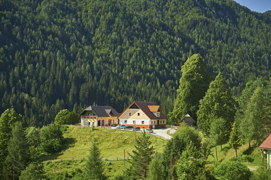 Tourist Farm Gradisnik Apartment Solcava Ngoại thất bức ảnh