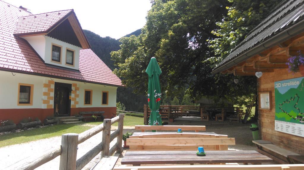 Tourist Farm Gradisnik Apartment Solcava Ngoại thất bức ảnh